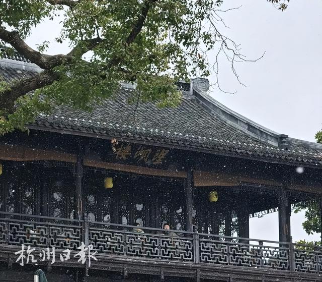 此刻断桥！人人人人雪人人人人人！有人拎着行李箱就来了：太惊喜了