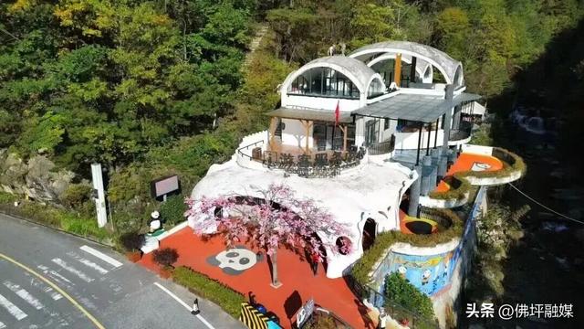 🥕解锁“疯狂动物城”佛坪分城🦊