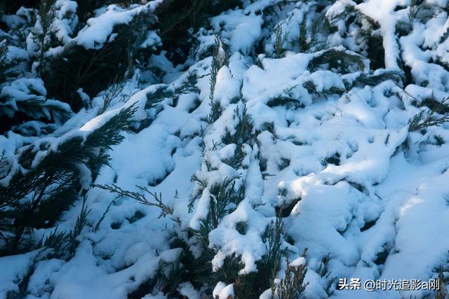 晨晓微曦的雪棱光