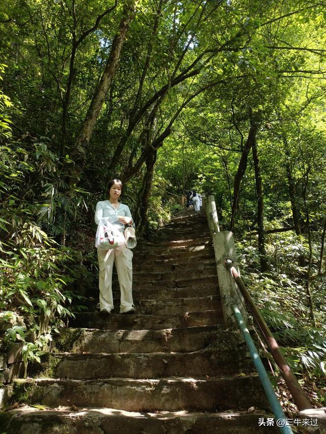 无为在歧路，贵州六日行（15）～梵净山