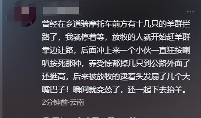青海游客骑行被暴打后续，牧民凶神恶煞，拦路辱骂扇脸，原因曝光