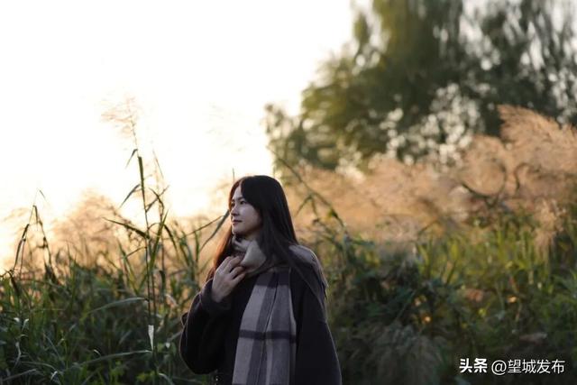 芦苇+落日=超级出片！望城这片景太会了！