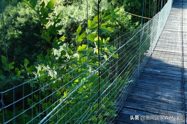 西安人注意!秋天别宅了!自驾2h直达“神仙氧吧”!
