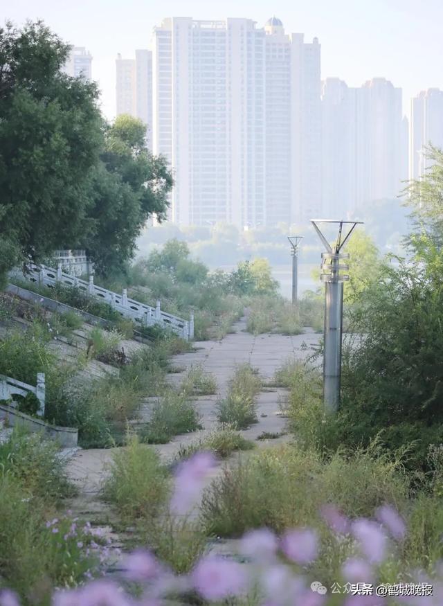 美翻了！今早的鹤城宛如仙境！