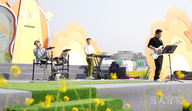 花海为幕 乐音为诗......屏山中都油菜花季开启沉浸体验热潮