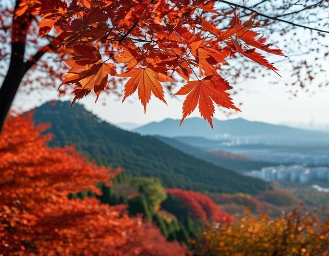 金陵秋色天花板！栖霞山红叶攻略：历史人文与漫山流丹的视觉盛宴