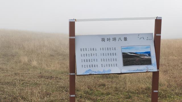 山西深度游—五寨荷叶坪
