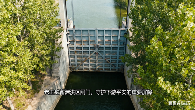 老王坡实现蝶变的密码是什么？