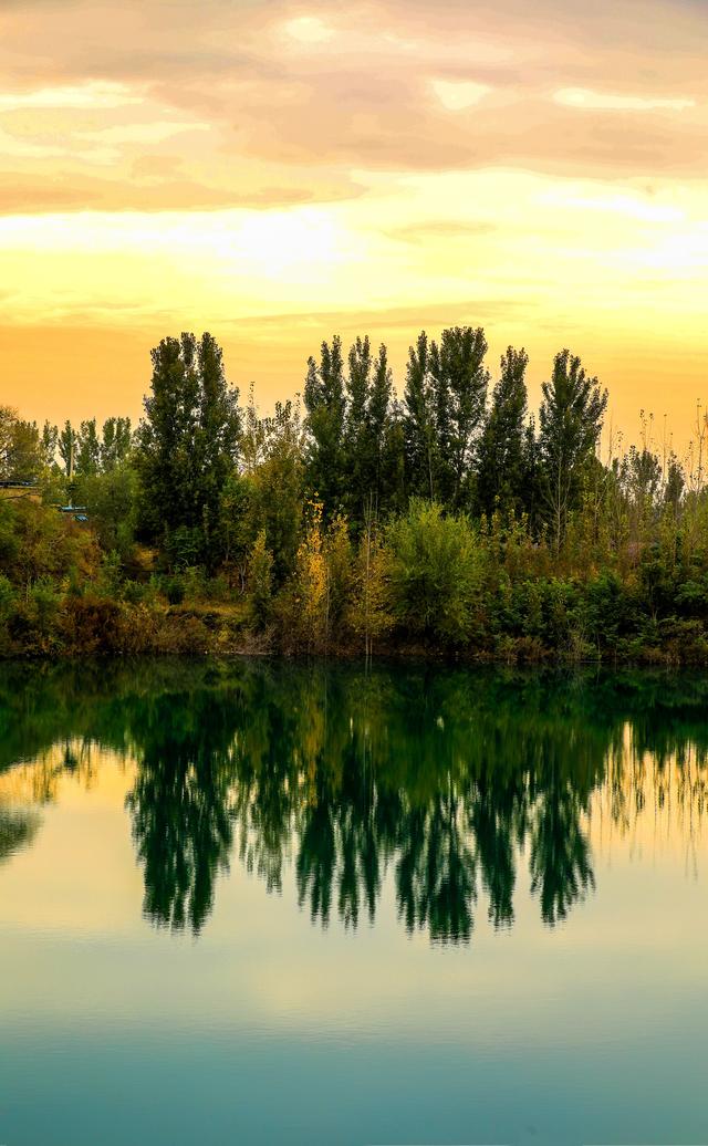 呐！送你一片立冬日的多巴胺