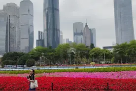 一个家庭，能达到这五条中的三条，基本上算是很牛了图片