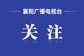 襄阳高能！一场招聘，300多名硕博达成就业意向图片
