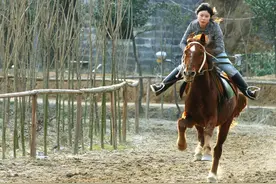 古代八百里加急仅一人一马为何土匪从来不劫？网友热议图片