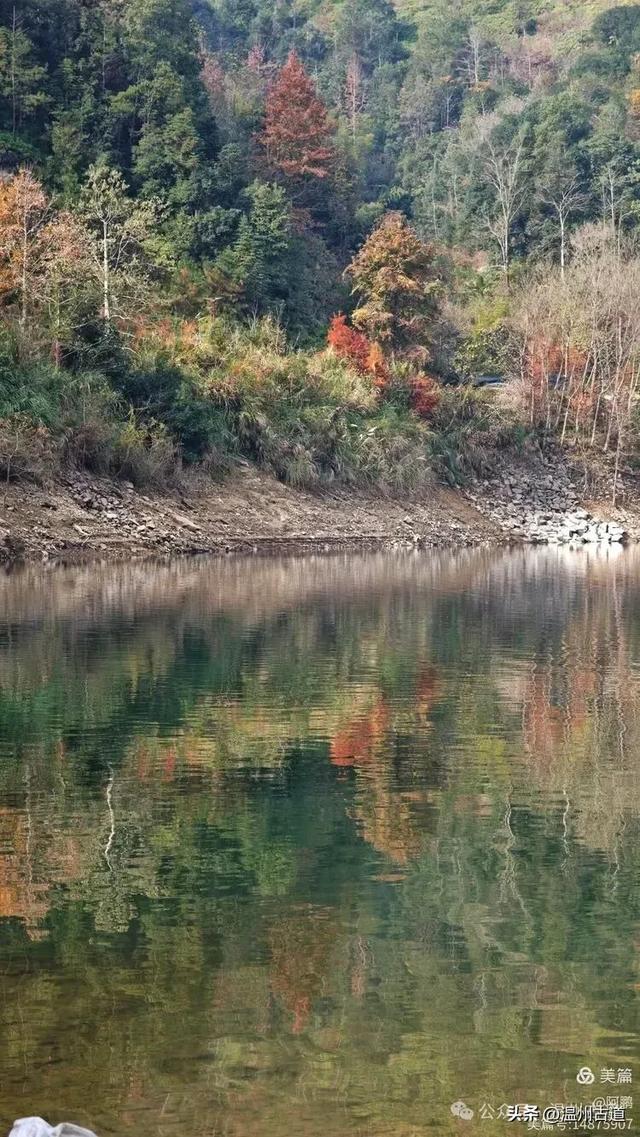 两毁两建，三廊相连，这座全国最长的木拱廊桥‌，就在温州！