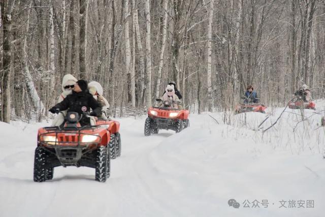 挖到宝了！这个叫安图的小城，装着整个冬天的快乐