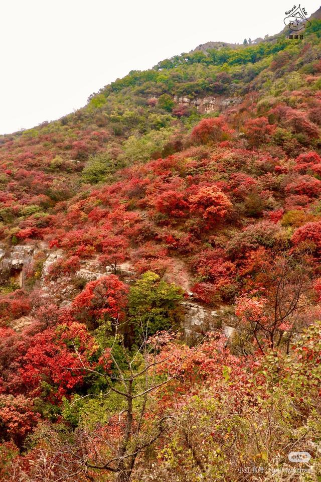 周末好去处 | 被临沂户外徒步地 美哭了！