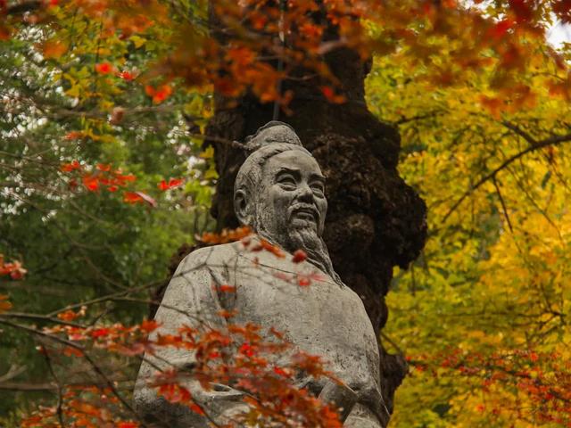 报！天平山红枫已进入变色期