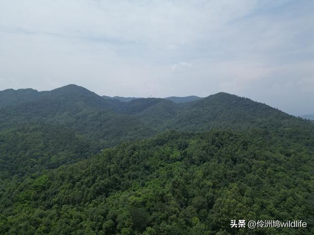 成都徒步（68）·彭州篇⑮佛山古寺&镇国寺宝塔