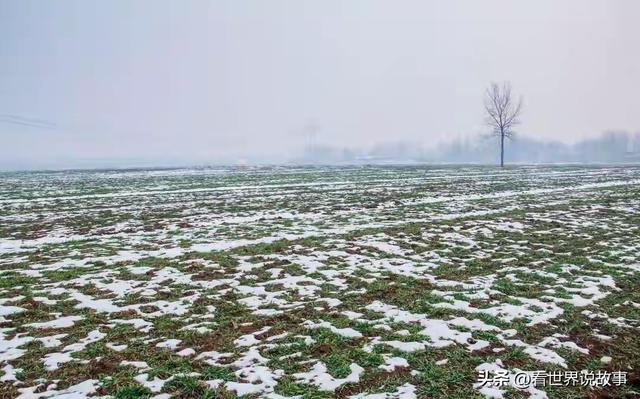 “不怕立冬晴一天，就怕立冬一天雨”，今日立冬，雨天有啥预兆？