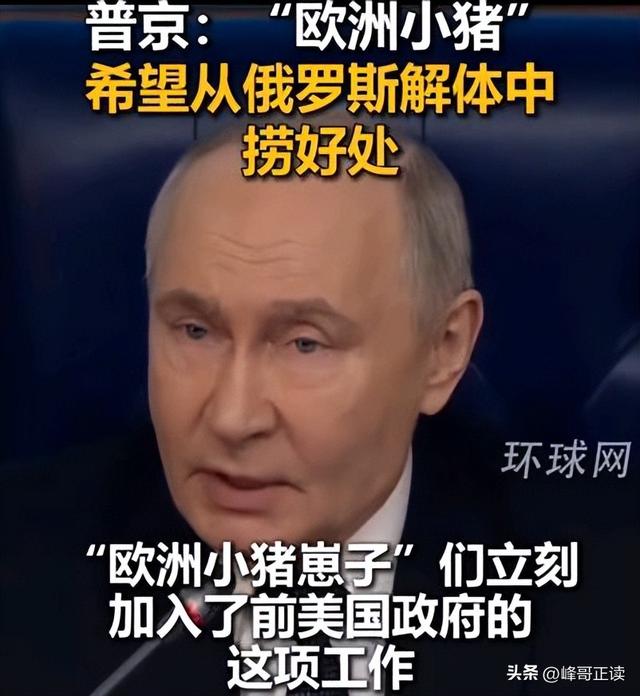 普京对欧洲的新称呼，主打一个瞧不上，但确实形象