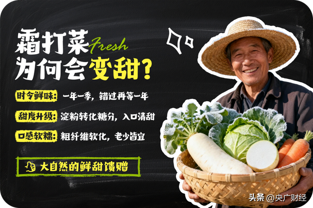 京东七鲜“霜打菜”上新 冬日第一口鲜甜别错过！