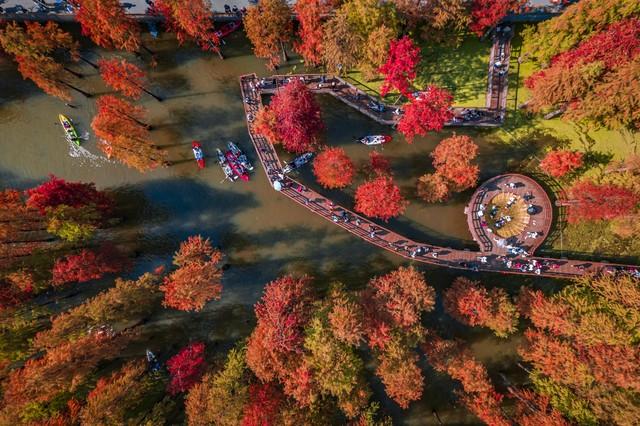 这才是江南秋天的天花板！浙江5大红叶秘境，带你走进古典水彩画