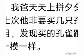 父母会网购后有多疯狂？当老爸下单了个传国玉玺，朋友圈里都炸了图片