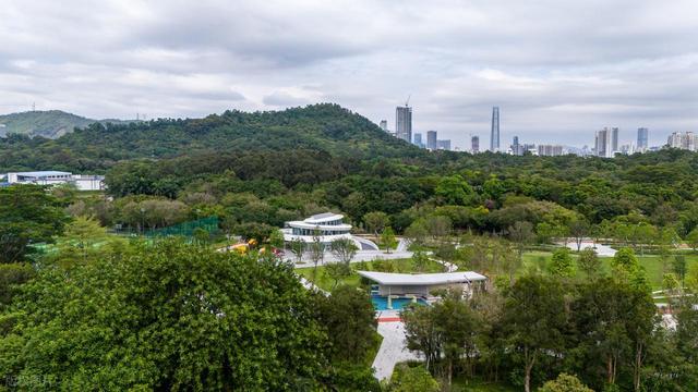 深圳最值得去的6个公园推荐！全部免费，地铁直达，好玩又好拍！