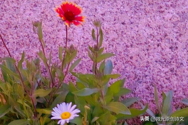 那些说走就走的旅行，悦了容颜，悦了心扉。