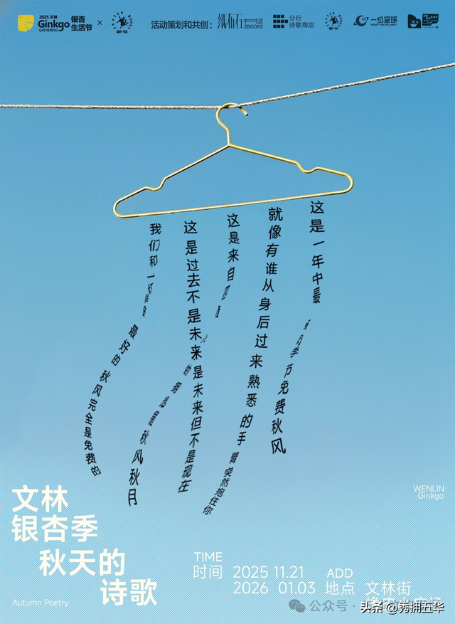 赏银杏、会海鸥，邂逅一场丰容的“昆明式暖冬”