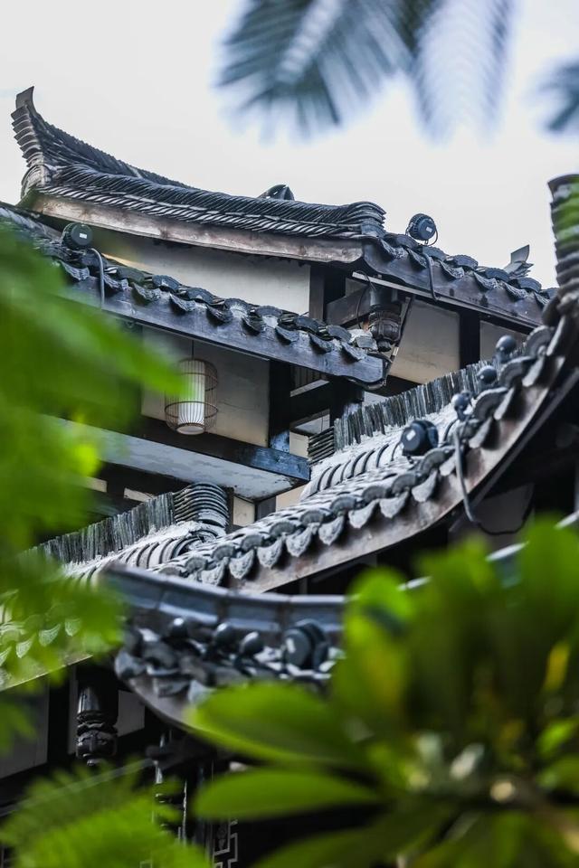 假期在龙岗这么玩！发朋友圈被赞爆！