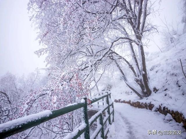 冬享沂蒙过大年｜雪落沂蒙，山河藏暖