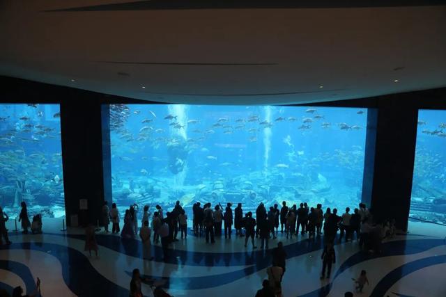 东盟网红漫游海南自贸港采风行走进三亚：邂逅水底套房的梦幻 畅享科技魅力