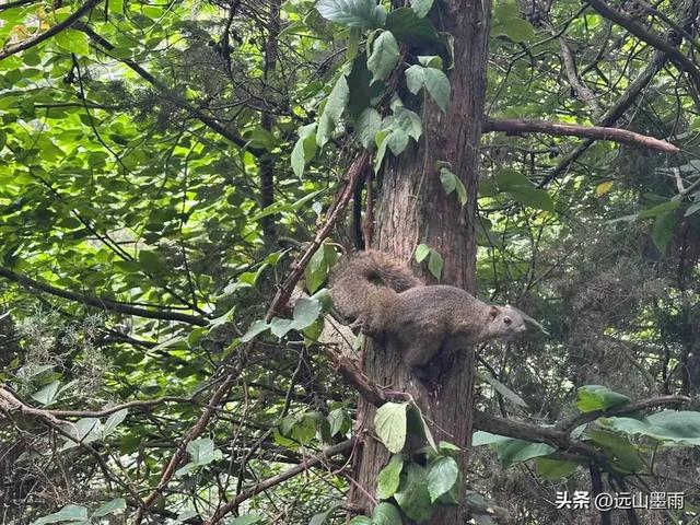 周末徒步，爬西山、走千步岩、过东风坝，我们在山水间快乐行走