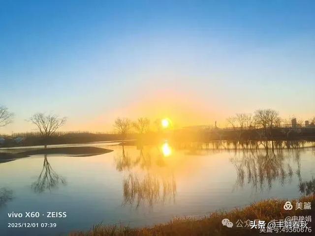 初冬北京朝阳坝河金盏淀:清寒里的静美画卷|申艳娟