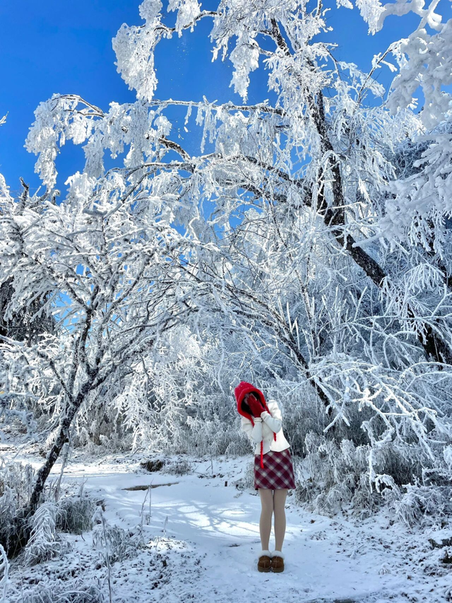 【雪景预告】看雪不必出远门！雅安的冬天超超超美！