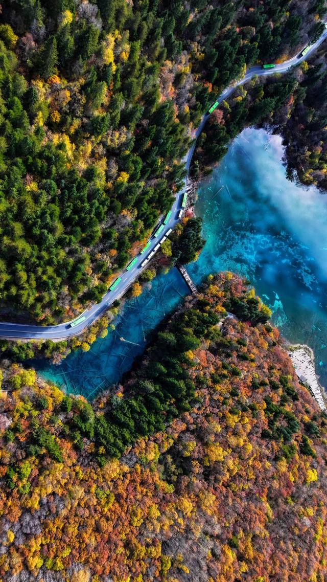 【今日九寨沟】秋季彩林最后的盛宴，明年再见！