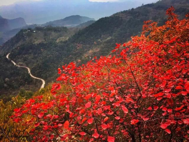 十一专辑 | 十一驭秋风，畅游许昌最美公路季（三）