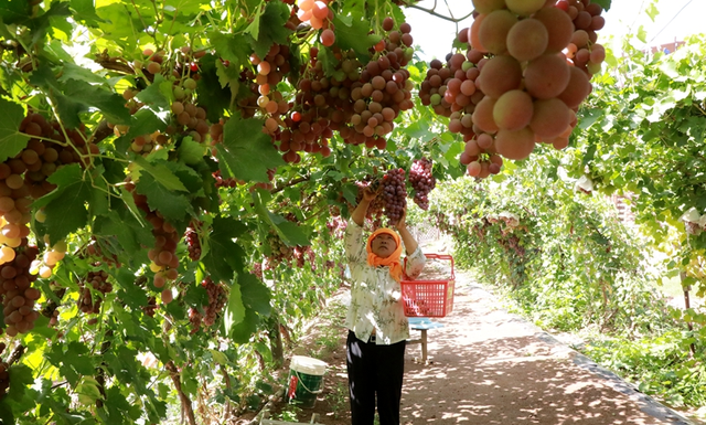 小城故事多——今天给大家介绍有着“小江南”之称的张掖市临泽县
