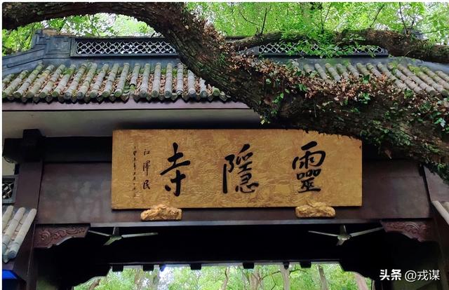 景区疯了？门票白送！这背后藏着年入千亿的狠招