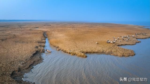 山东一共15个5A景区，很多本地人可能都没去过一半，你去过几个？