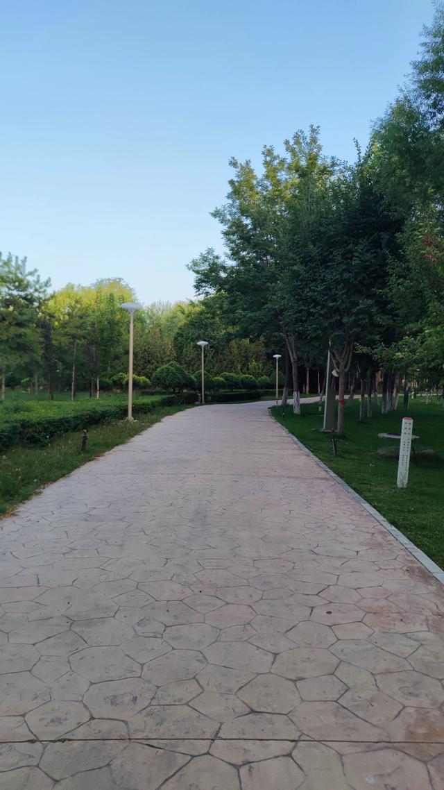 银川花博园真的好大，好大，是我见过的最大的花园