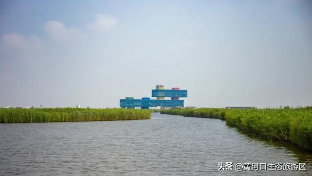 【喜报】黄河口生态文明研学基地 成功入选“山东省研学旅游基地品质提升试点单位”