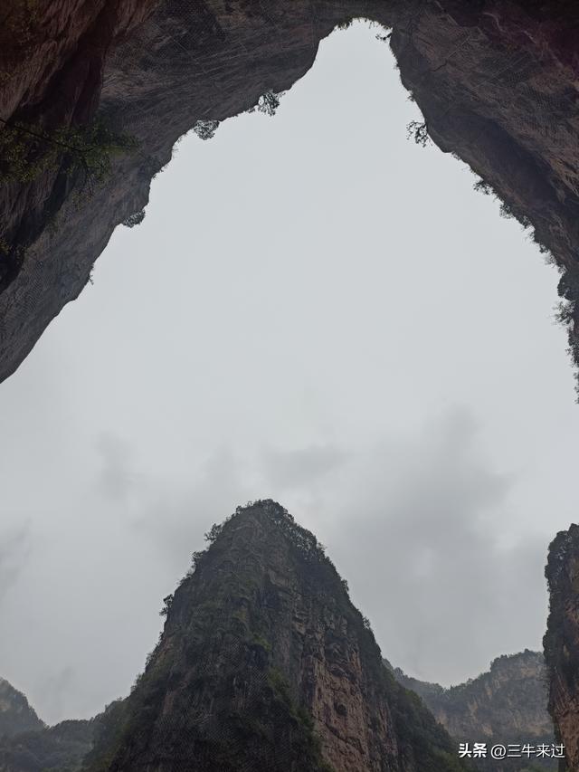 无为在歧路，2025之经行