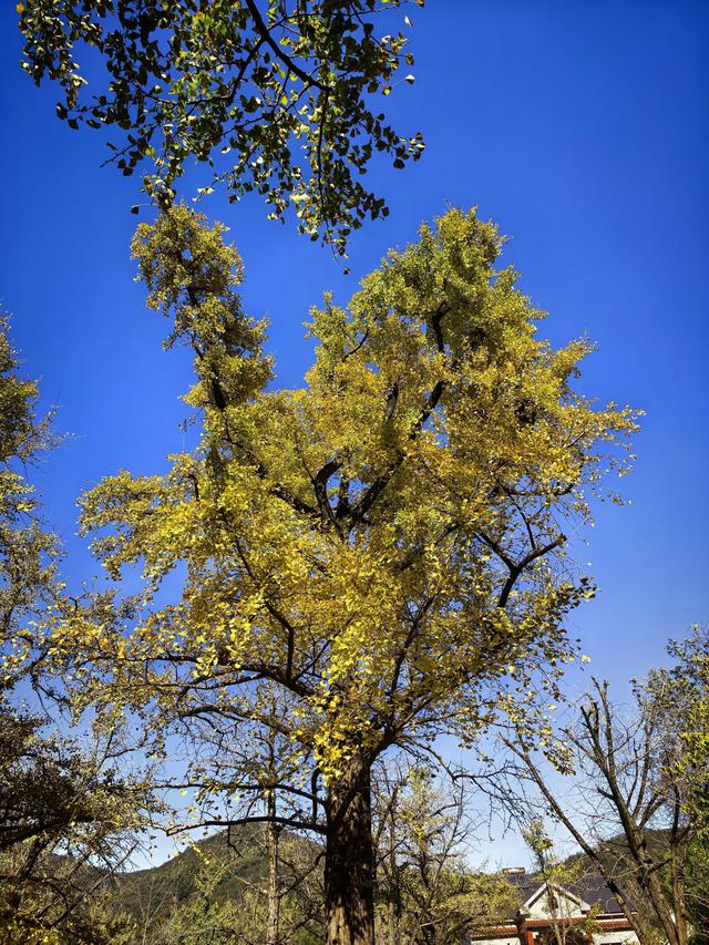 徒步八都岕黄金大道