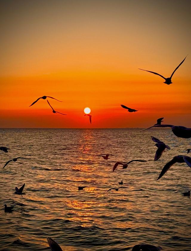 秦皇岛凭啥被北京人当"后花园"？本地人说出真相：大部分人白去了