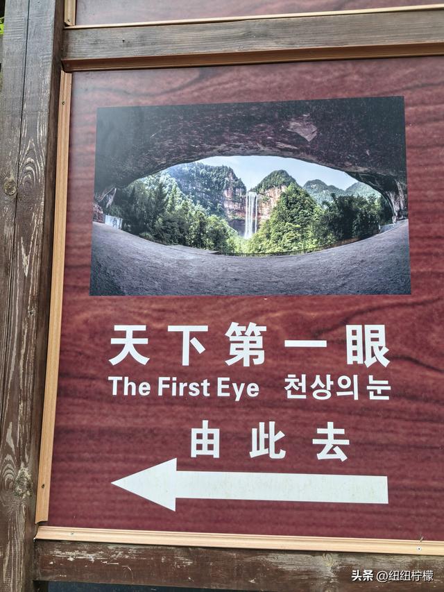 在江津四面山景区看了瀑布爬了梯，又坐了超级滑道听了潺潺流水声