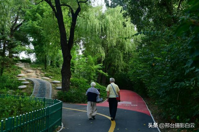 立秋之约：达活泉公园的诗意画卷（图）