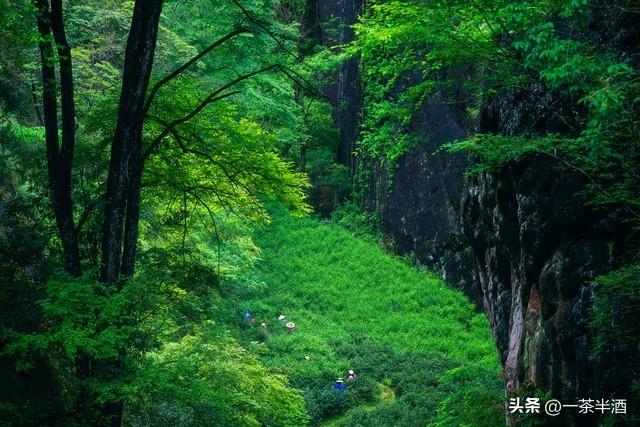 免费营地！福建南平市自驾游免费露营地，主要景点及特色美食