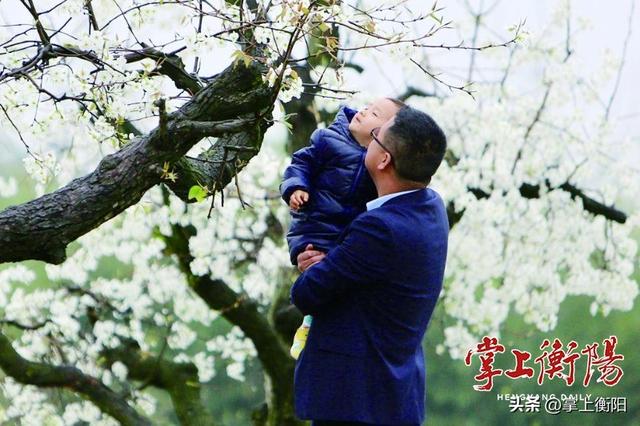 衡阳春日限定！收好这份踏青赏花打卡攻略~
