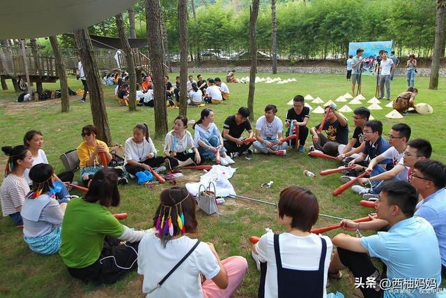 研学项目四大核心弊端与避坑指南：让每一分钱都花在刀刃上